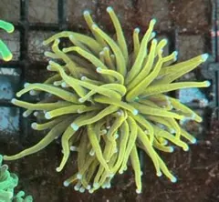 TM様 リクエスト 4点 まとめ商品