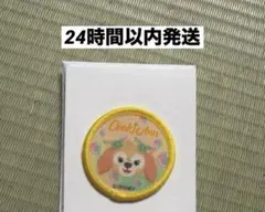 ディズニーシーカラフルハピネス20周年記念ワッペンクッキーアン