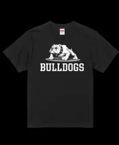 Item thumbnail for item 3b577d0a-047f-477d-8d7d-8c00d681f192