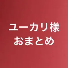 ユーカリ様 リクエスト 4点 まとめ商品