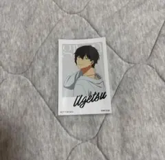 ギヴン 村田雨月 ノイタミナアパレル