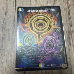 デュエルマスターズ パーフェクトペテンシー 1장