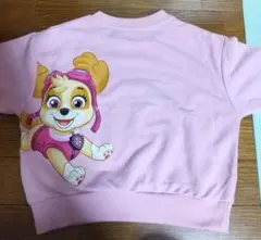 パウパトロールスカイ