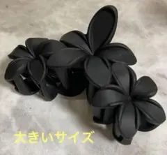 Item thumbnail for item 6fd3c994-c4b4-4278-8d1e-65978848b69b