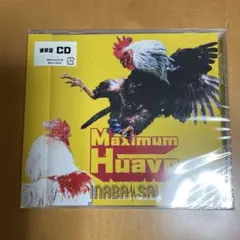 Item thumbnail for item d981b4b3-440d-4dc9-871f-959317636a52