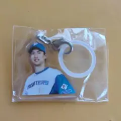 達孝太 めじるしチャーム 北海道日本ハムファイターズ