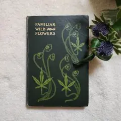 植物図鑑　洋書　古書　アンティーク　Familar Wild Flowers①