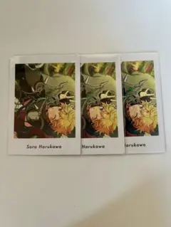 春川宙 ぱしゃっつ 3枚