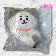 189 BTS BT21 ぬいぐるみマスコットCAT DAY　RJ 　ジン