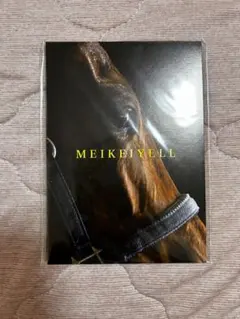 メイケイエール 引退記念 メモリアル付箋セット 非売品 中京競馬場 JRA