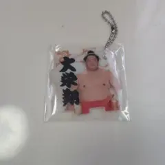 大栄翔 アクリルキーホルダー 相撲 グッズ