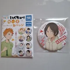 ハイキュー　思い出　トレーディング　缶バッジ　孤爪研磨