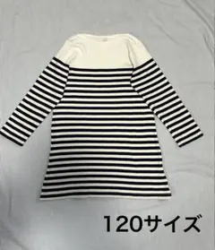 120/白×濃紺/コットン/マリン風ボーダワンピース長袖