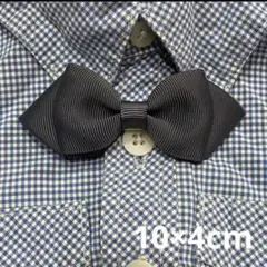 Item thumbnail for item 4d95eec8-0082-436b-8bfe-d4f5cf7bb425