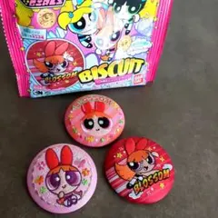 【ブロッサム】パワーパワガール　 刺繍缶バッジ セット食玩