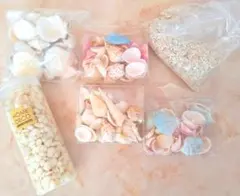 貝殻　シェルパーツ　白砂　ホワイトストーン　ネイル　ハンドメイド