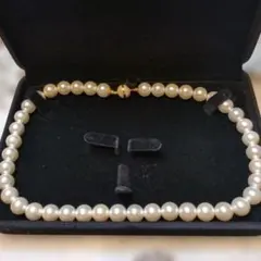 Item thumbnail for item c9bfe282-ea12-44d6-b5b8-16b7470c5782