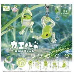 カエルのMineチャーム ガチャ カプセルトイ2種