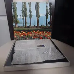 【新品未使用】スワトウ 汕頭 刺繍 ハンカチ 伊勢丹 伝統工芸品 箱付き