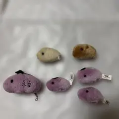 週末特価　カピバラさん6点セット値下げ1980⇒1280