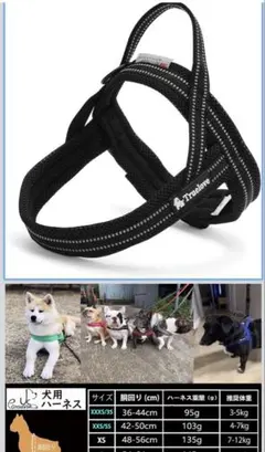 ハーネスとリードセット