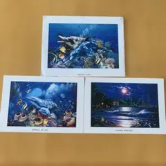 Item thumbnail for item e5b9f9ce-2695-4c6d-a0be-043370cb2d3e