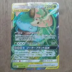 フシギバナ＆ツタージャGX RR SM11a リミックスバウト 001/064