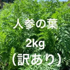 Item thumbnail for item 6077baae-a76a-4803-9adf-ed6587816b19