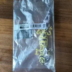 いきもの大図鑑アドバンス　レオパードゲッコー　バンディット