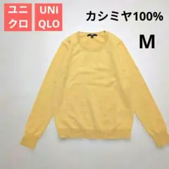 Item thumbnail for item 60f5e1cd-9aa7-40b3-8667-1b51d76242be