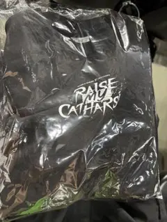 RAISE A SUILEN✕トゲナシトゲアリ 特製コラボスウェットシャツ