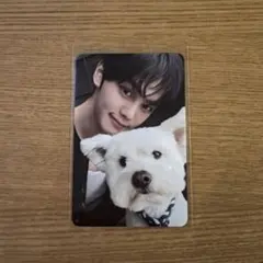 zb1 ギュビン NEVERSAYNEVER デジパ 封入トレカ 犬