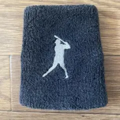 実使用　千葉ロッテマリーンズ