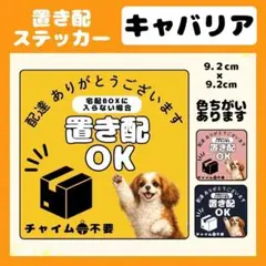 【キャバリア】1枚 ステッカー　置き配　宅配ボックス　配達　玄関　屋外　防水