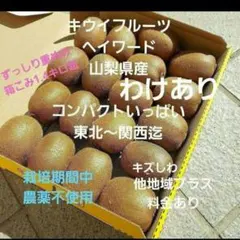 ❇️3キウイフルーツ　　わけあり　小玉　箱いっぱい　コンパクト　山梨県産