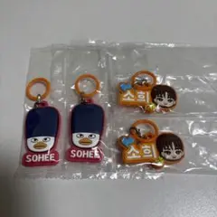 RIIZEぷっくりめじるしアクセサリー ソヒ