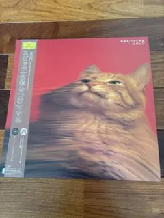 2026年最新】名前をつけてやる レコードの人気アイテム - メルカリ