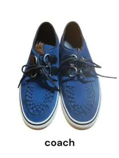 Item thumbnail for item 020fb134-0dfc-402f-910b-bab985d704fc