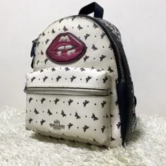 極美品✨BALLY バリー✖️青山テルマ コラボ・レザー ミニリュック 