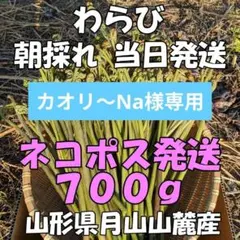 【カオリ〜Na様専用】わらび 朝採れ 700g 山形県月山山麓産⑤
