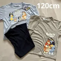 新品未使用 ブルーイ パジャマセット