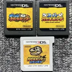 DS 3DS ソフトのみ カセキホリダー 3本セット