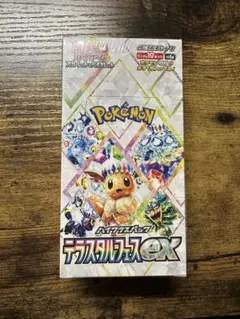 2025年最新】テラスタルフェスBOXの人気アイテム - メルカリ