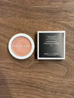 BRILLIAGE カモフラージュ コンシーラーチーク 01のサムネイル