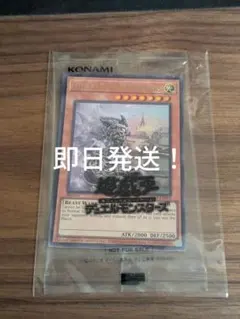 遊戯王 日本選手権2026 プロモ the lady's protectors - メルカリ