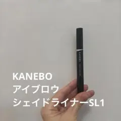 Item thumbnail for item 9d026d70-205e-4c00-af35-86929ab9c5a3