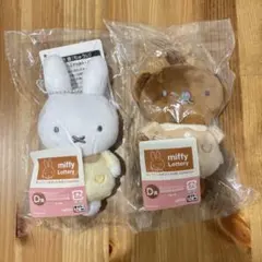 Item thumbnail for item 4b6ea4fe-e13c-4b93-aa91-f075833cd718