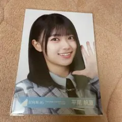 けんたごん様 リクエスト 3点 まとめ商品