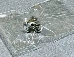 Item thumbnail for item a4445671-f8cc-41b4-b070-019f4e1458b8