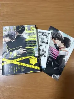 2ndバージンのじょうずな捨て方　アニメイト特典付き